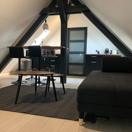 Appartement Cocoon Loft à Colmar Extérieur photo