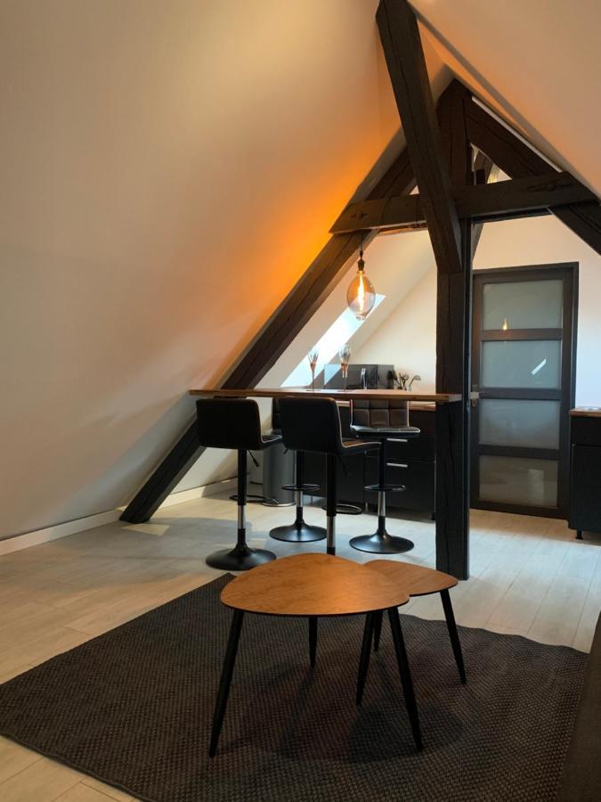 Appartement Cocoon Loft à Colmar Extérieur photo