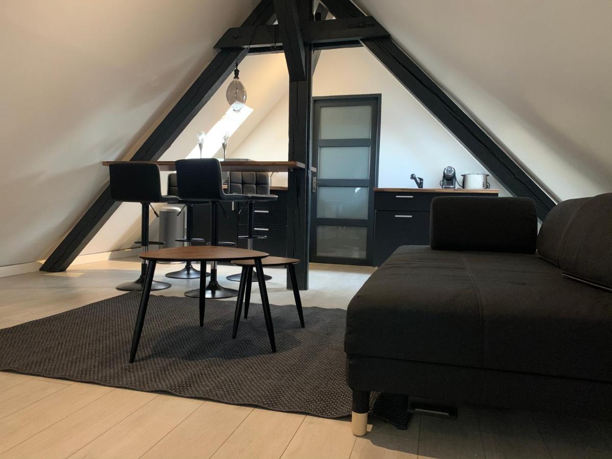 Appartement Cocoon Loft à Colmar Extérieur photo