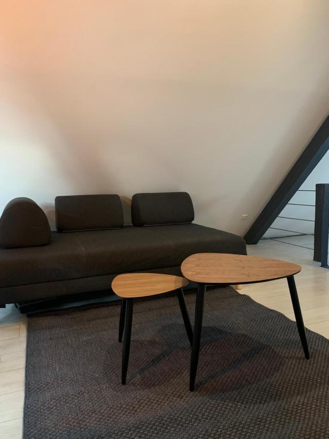 Appartement Cocoon Loft à Colmar Extérieur photo